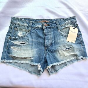 Joes Jeans Kikki Shorts